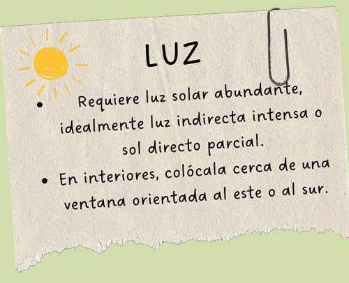 Sin título-2